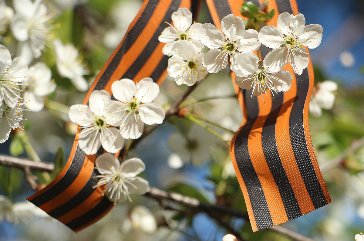 ЛОР Клиника ухо, горло, нос | ЛОР центр в Перми
