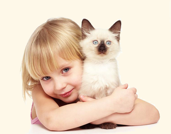 Аллергия на кошек, собак, шерсть животных проявления, симптомы, лечение |  Клиника лечения кашля и аллергии